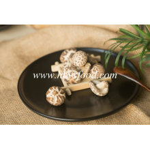 Top vente 2.5-3cm mince thé fleur champignon sec légumes